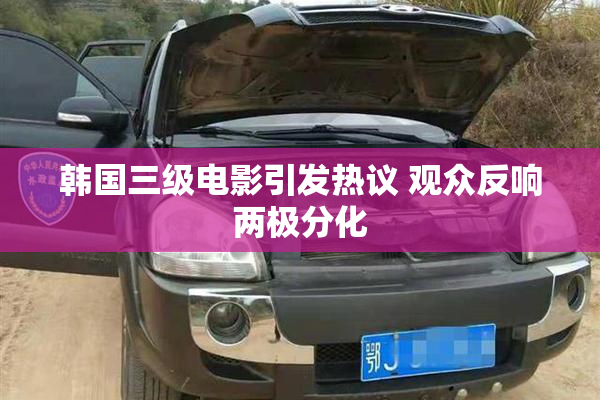 韩国三级电影引发热议 观众反响两极分化