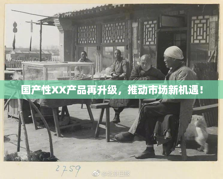 国产性XX产品再升级，推动市场新机遇！