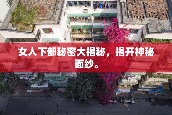 女人下部秘密大揭秘，揭开神秘面纱。