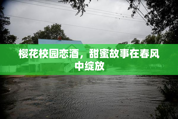 樱花校园恋酒，甜蜜故事在春风中绽放