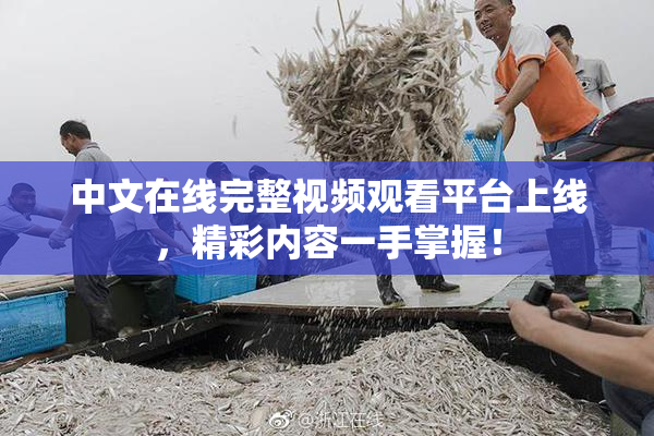 中文在线完整视频观看平台上线，精彩内容一手掌握！
