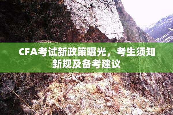 CFA考试新政策曝光，考生须知新规及备考建议