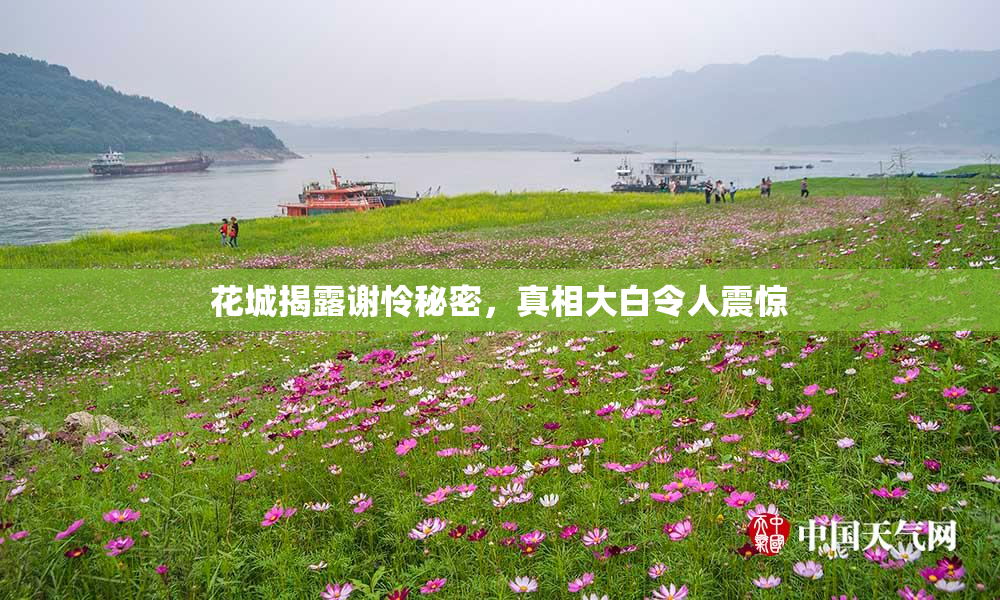 花城揭露谢怜秘密，真相大白令人震惊