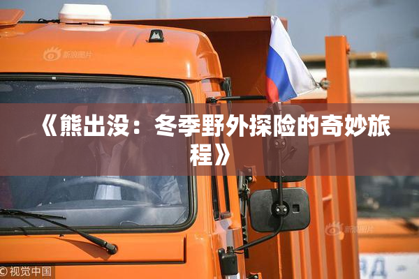 《熊出没：冬季野外探险的奇妙旅程》