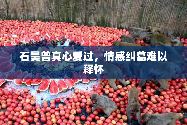 石昊曾真心爱过，情感纠葛难以释怀