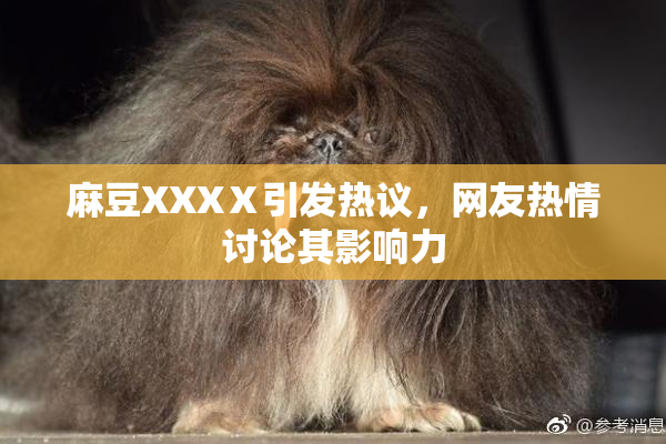 麻豆XXXⅩ引发热议，网友热情讨论其影响力