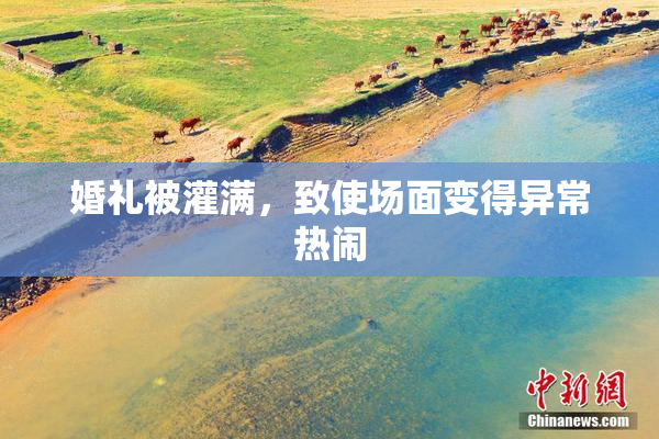 婚礼被灌满，致使场面变得异常热闹