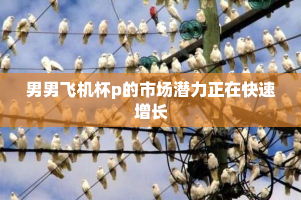 男男飞机杯p的市场潜力正在快速增长