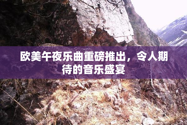 欧美午夜乐曲重磅推出，令人期待的音乐盛宴
