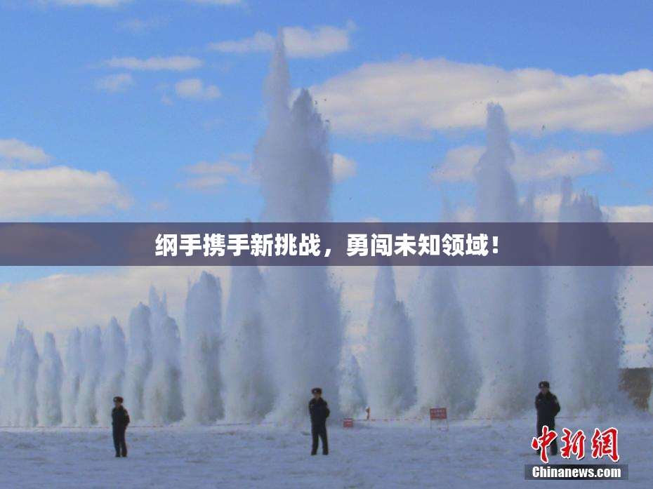 纲手携手新挑战，勇闯未知领域！