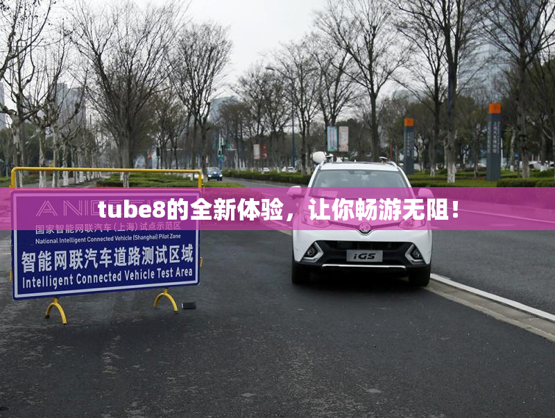 tube8的全新体验，让你畅游无阻！