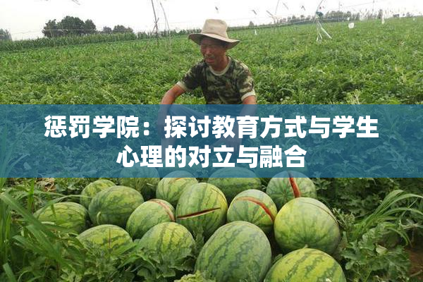 惩罚学院：探讨教育方式与学生心理的对立与融合