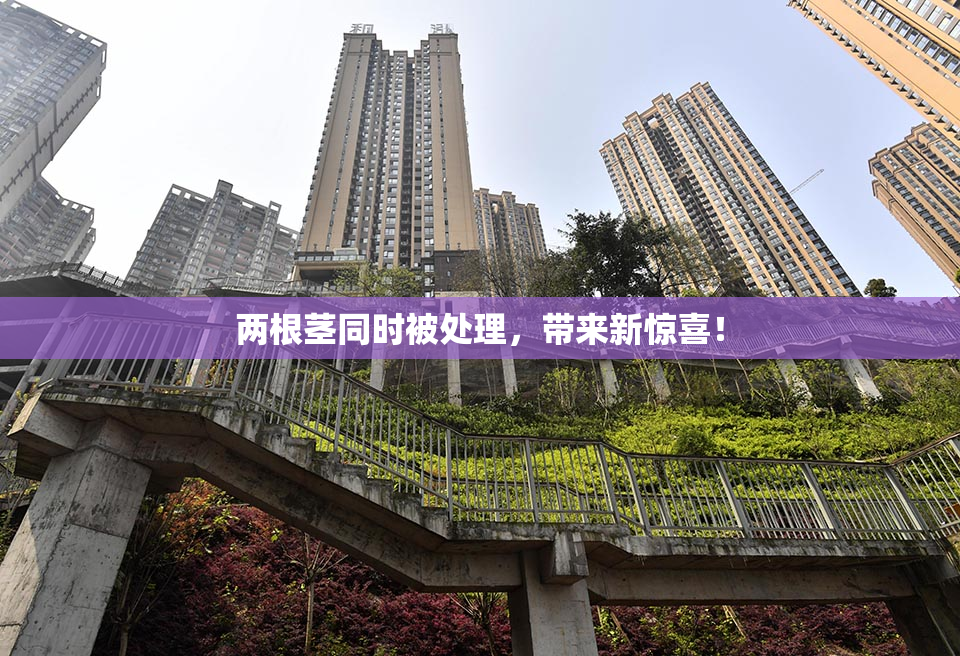 两根茎同时被处理，带来新惊喜！