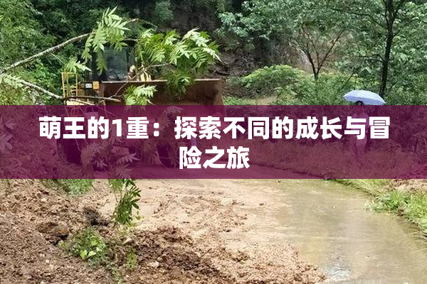 萌王的1重：探索不同的成长与冒险之旅