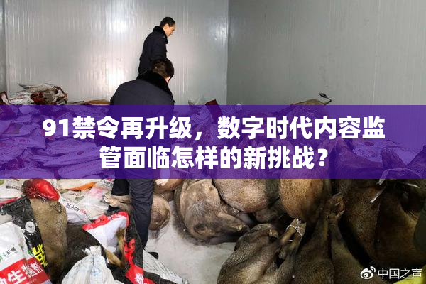 91禁令再升级，数字时代内容监管面临怎样的新挑战？