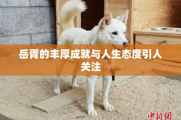 岳胥的丰厚成就与人生态度引人关注