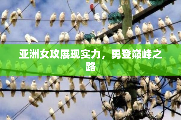 亚洲女攻展现实力，勇登巅峰之路
