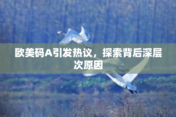 欧美码A引发热议，探索背后深层次原因