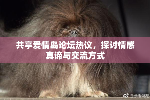 共享爱情岛论坛热议，探讨情感真谛与交流方式