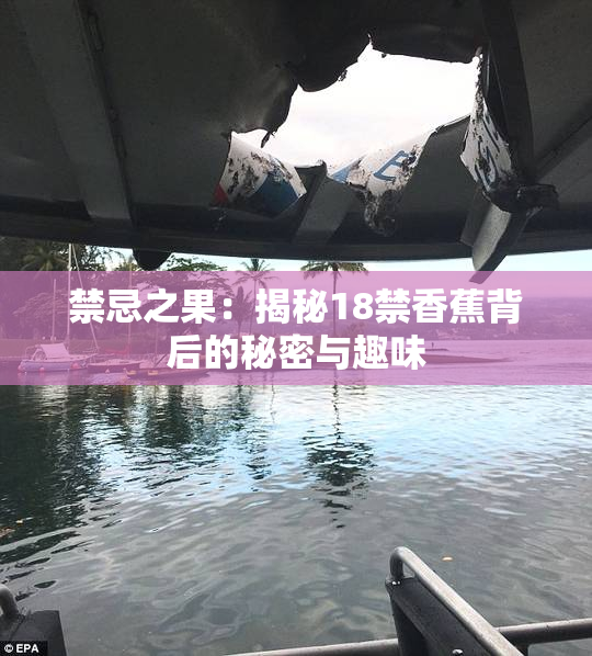 禁忌之果：揭秘18禁香蕉背后的秘密与趣味