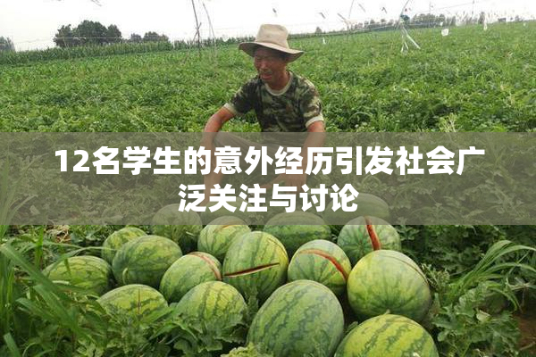 12名学生的意外经历引发社会广泛关注与讨论