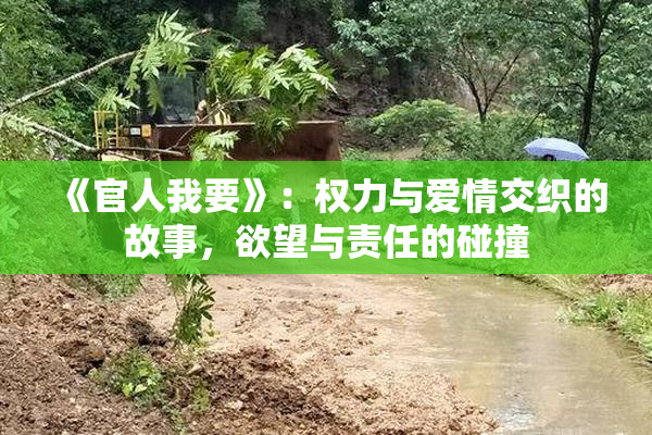 《官人我要》：权力与爱情交织的故事，欲望与责任的碰撞