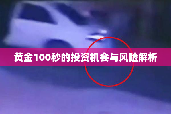 黄金100秒的投资机会与风险解析
