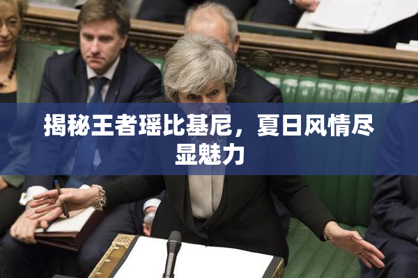 揭秘王者瑶比基尼，夏日风情尽显魅力