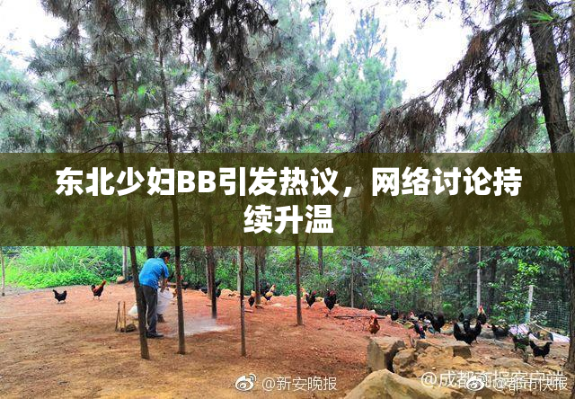 东北少妇BB引发热议，网络讨论持续升温