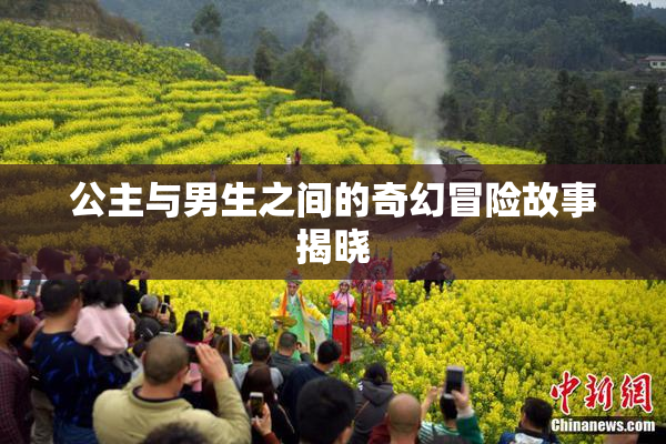 公主与男生之间的奇幻冒险故事揭晓