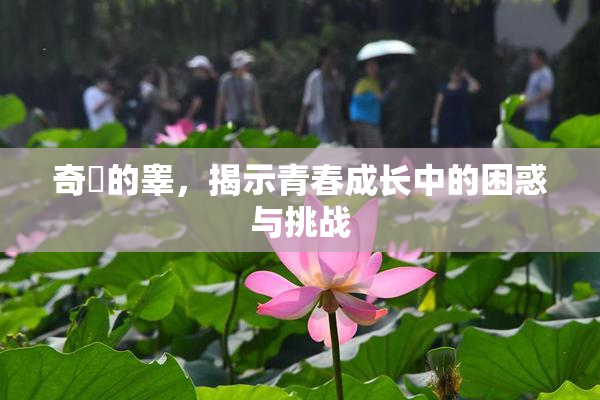 奇犽的睾，揭示青春成长中的困惑与挑战