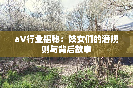 aV行业揭秘：妓女们的潜规则与背后故事