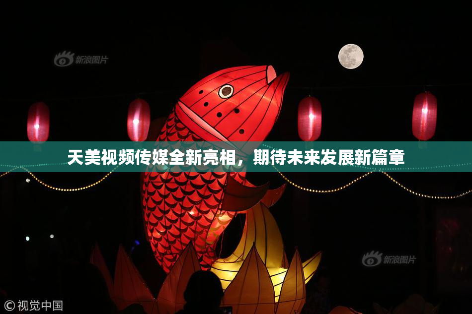 天美视频传媒全新亮相，期待未来发展新篇章