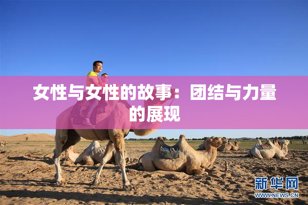 女性与女性的故事：团结与力量的展现