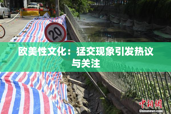 欧美性文化：猛交现象引发热议与关注