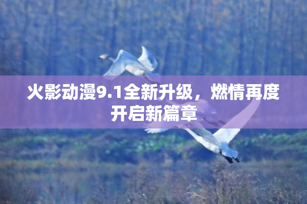 火影动漫9.1全新升级，燃情再度开启新篇章