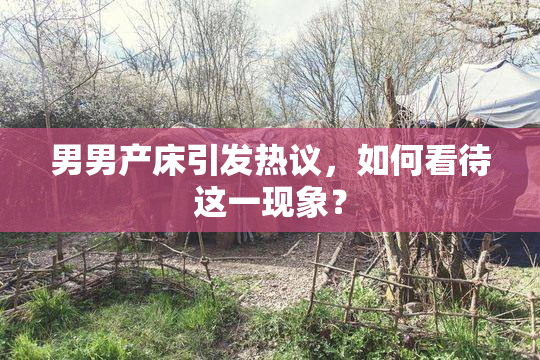 男男产床引发热议，如何看待这一现象？