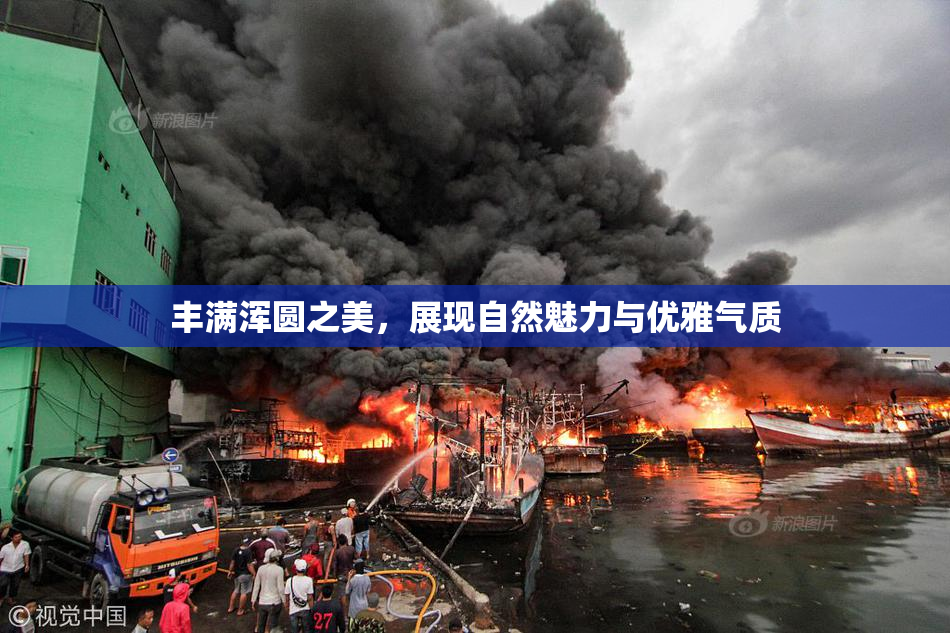 丰满浑圆之美，展现自然魅力与优雅气质
