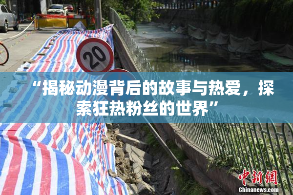 “揭秘动漫背后的故事与热爱，探索狂热粉丝的世界”