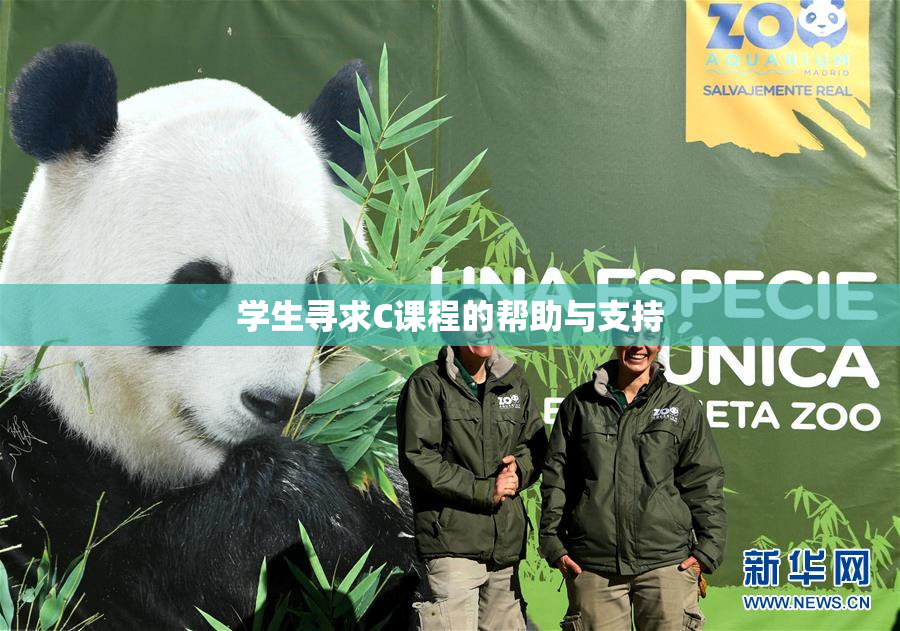 学生寻求C课程的帮助与支持