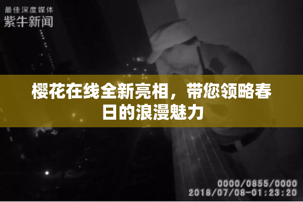 樱花在线全新亮相，带您领略春日的浪漫魅力