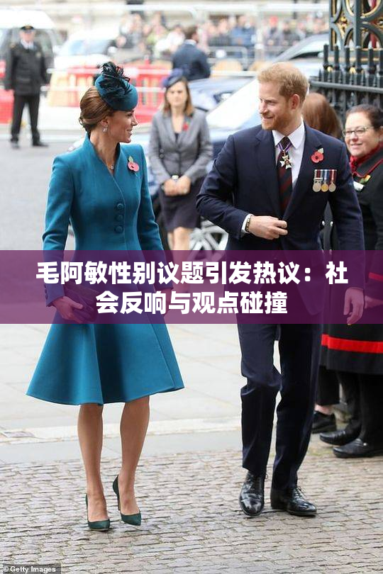 毛阿敏性别议题引发热议：社会反响与观点碰撞