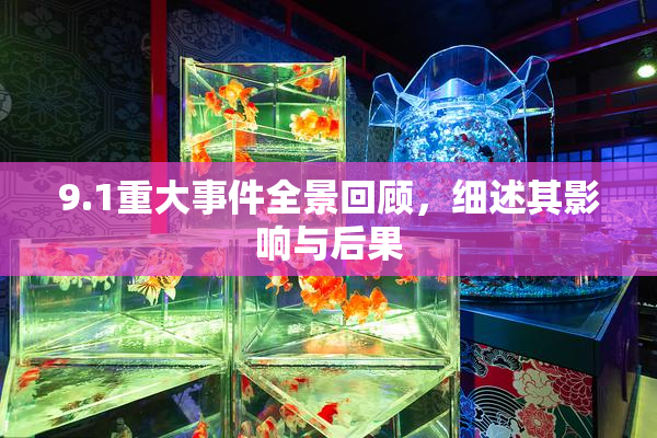 9.1重大事件全景回顾，细述其影响与后果