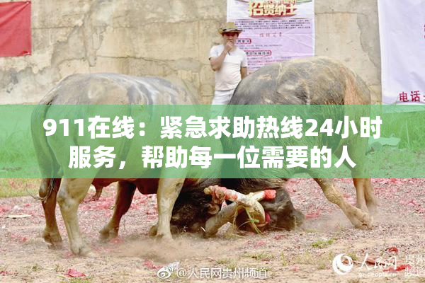 911在线：紧急求助热线24小时服务，帮助每一位需要的人