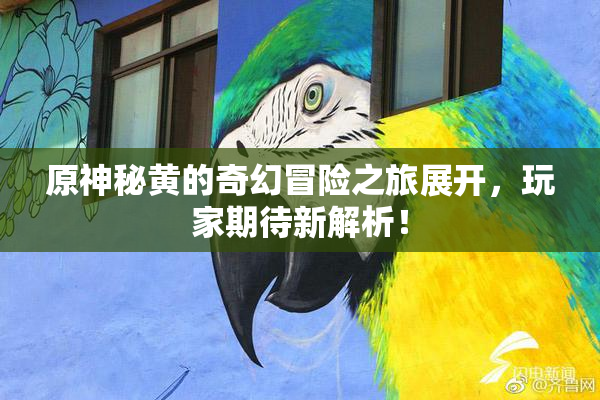 原神秘黄的奇幻冒险之旅展开，玩家期待新解析！