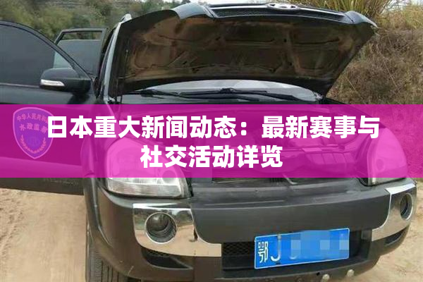 日本重大新闻动态：最新赛事与社交活动详览