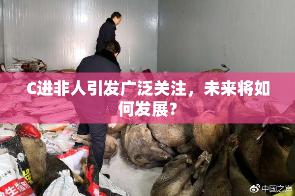 C进非人引发广泛关注，未来将如何发展？