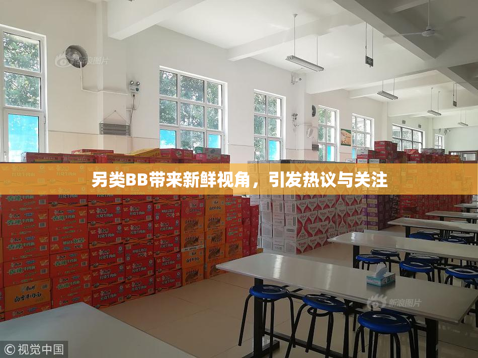 另类BB带来新鲜视角，引发热议与关注