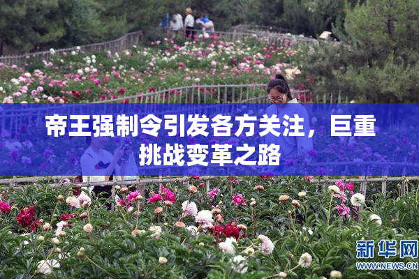 帝王强制令引发各方关注，巨重挑战变革之路