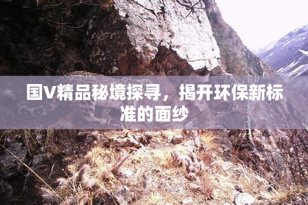 国V精品秘境探寻，揭开环保新标准的面纱